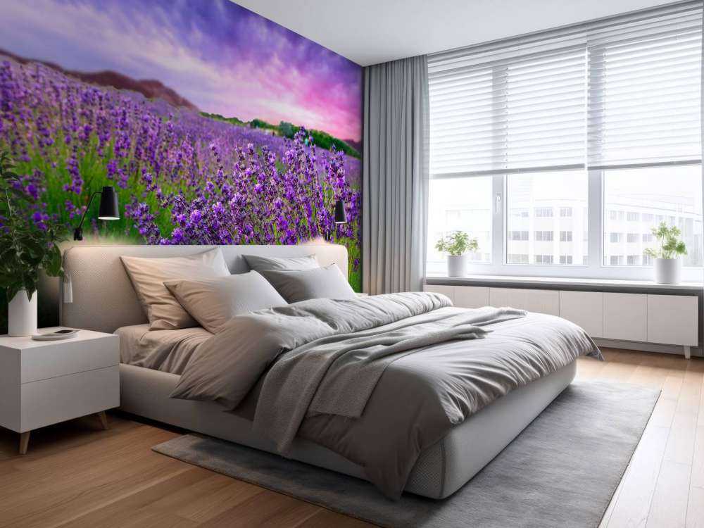 Lavendel met zonsondergang