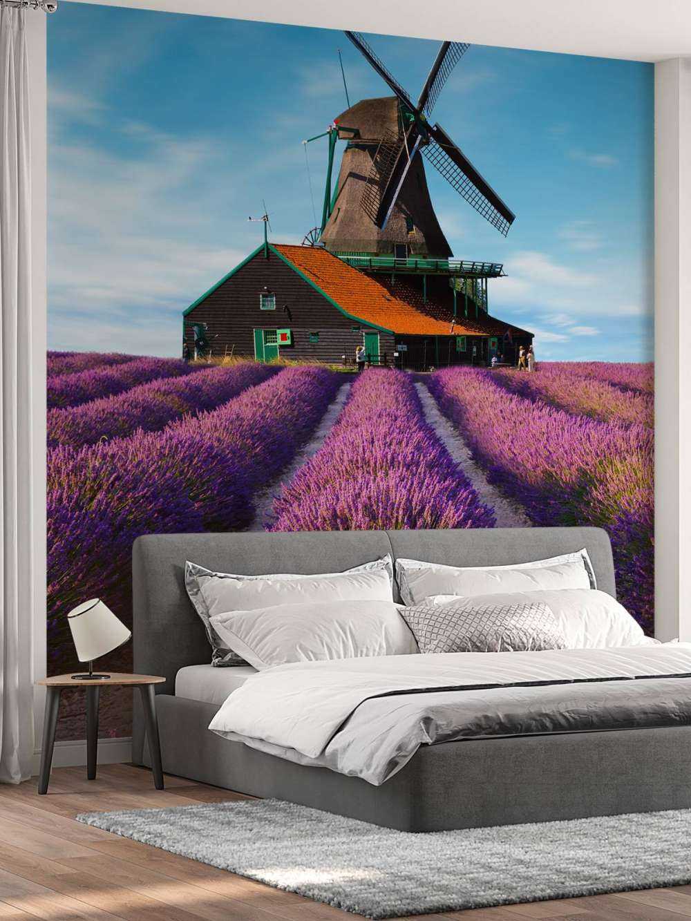 Lavendel veld met Windmolen op Achtergrond