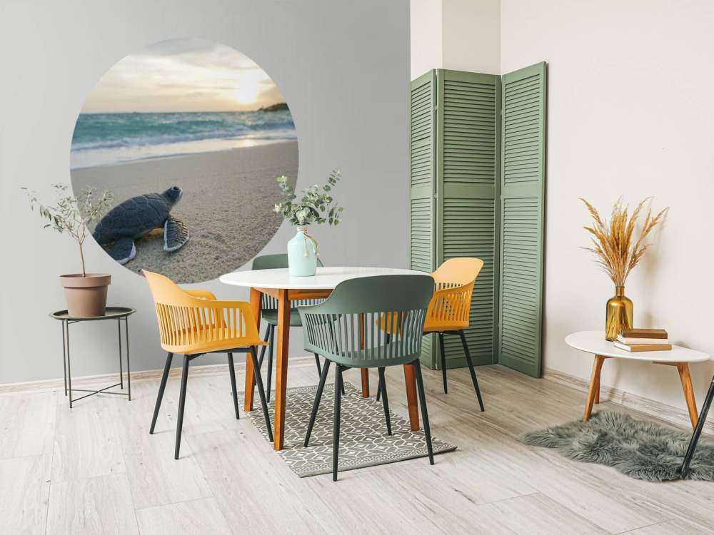 Kleine schildpad op het strand