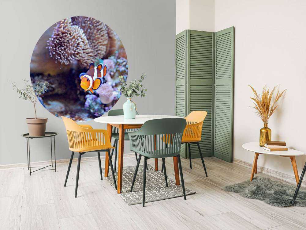 Anemoonvis in een koraalrif