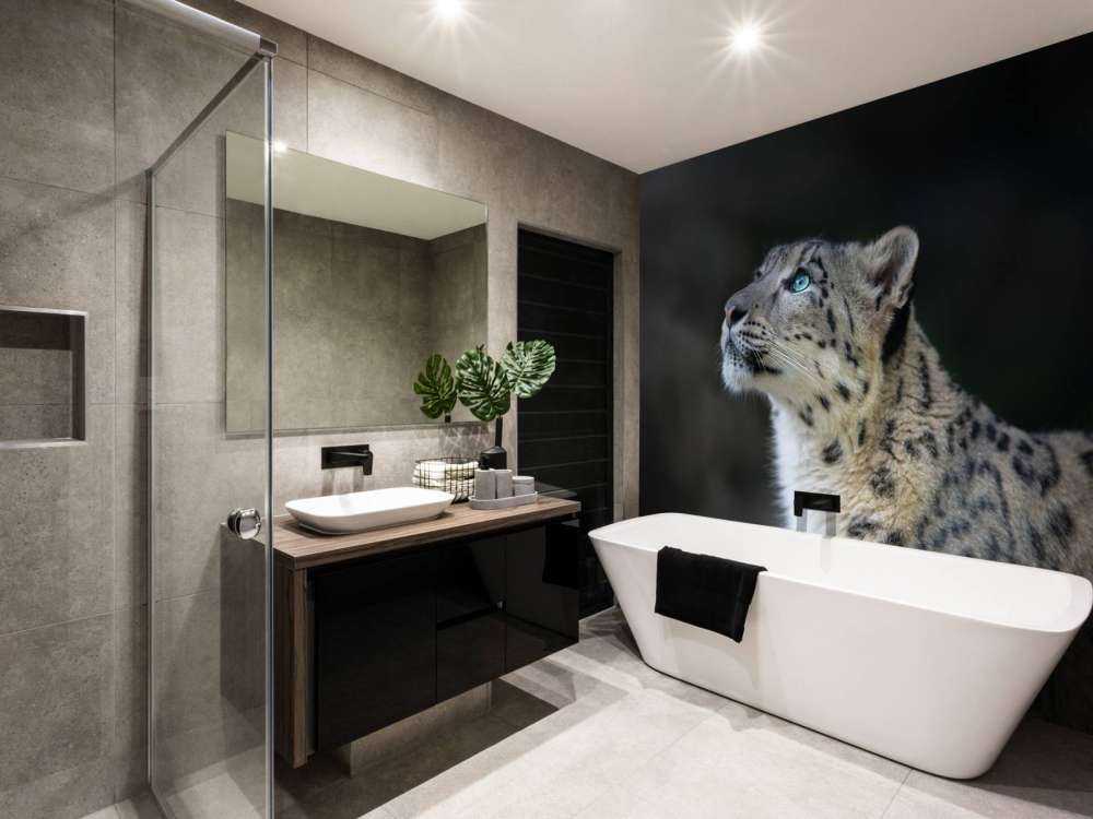 Sneeuwpanter met blauwe ogen