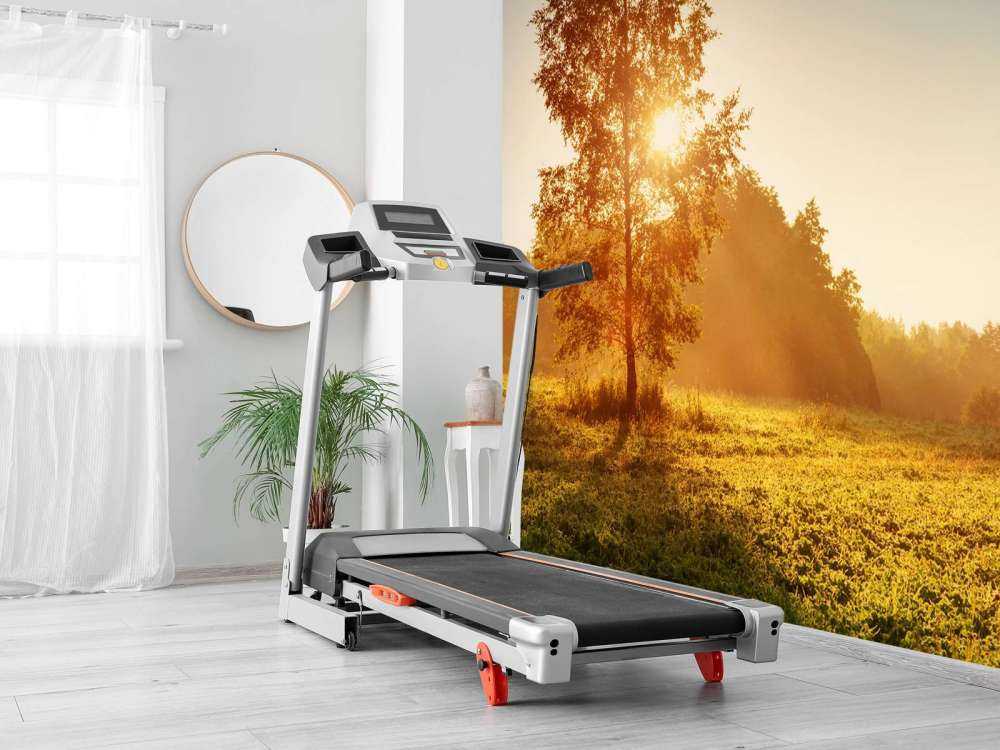 Weiland bij zonsopkomst