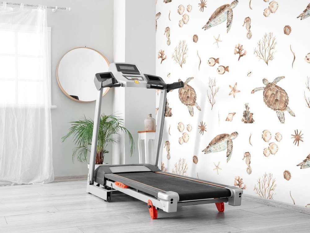 Schelpen en zeedieren