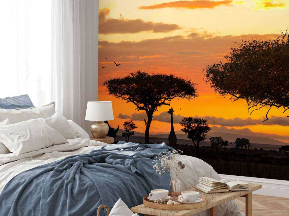 Safari in Afrika bij zonsondergang