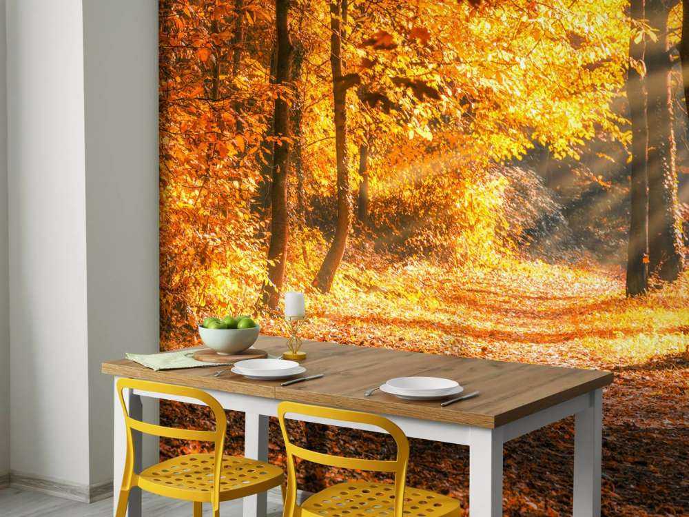 Panorama in de herfst