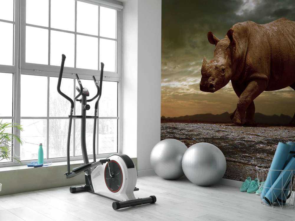 Afrikaanse neushoorn op een vuil veld