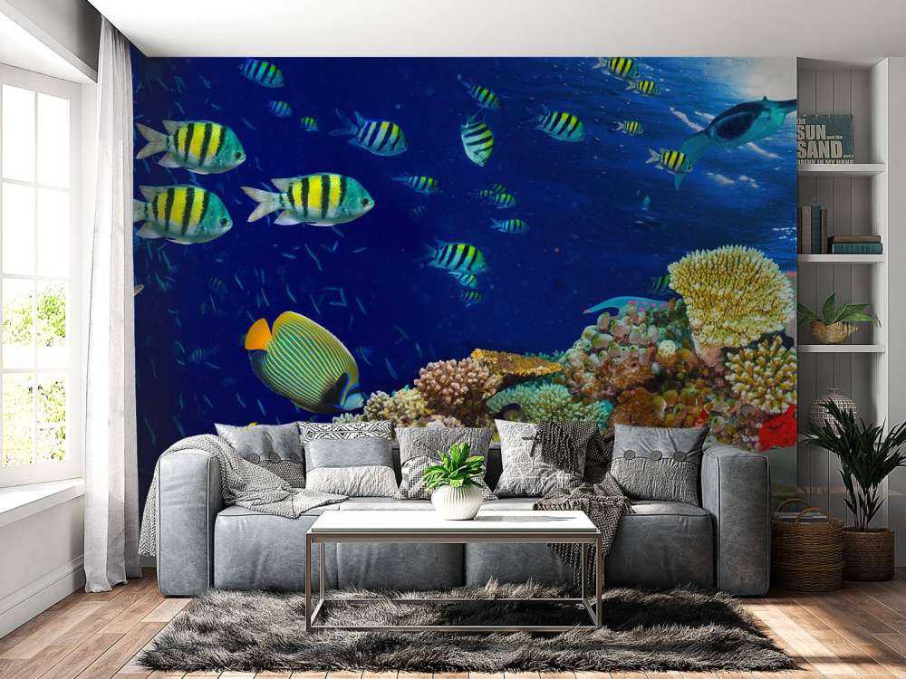 Zeeleven bij een koraalrif