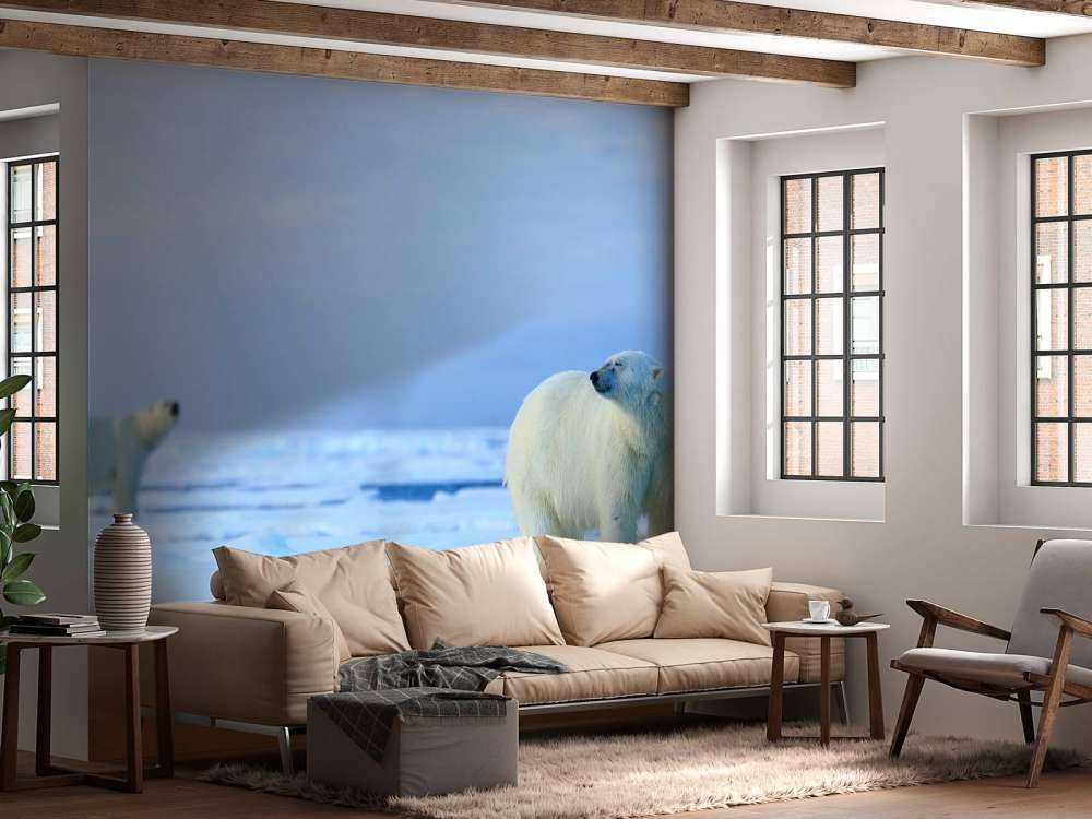 IJsberen op drijfijs