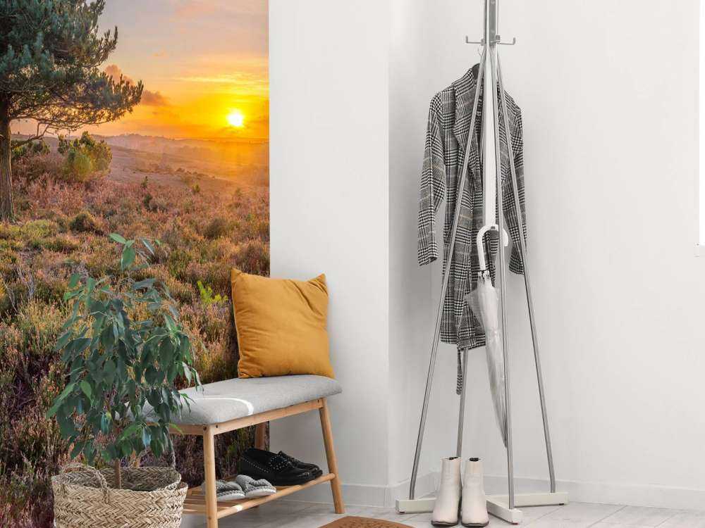 Zonsondergang op de heide