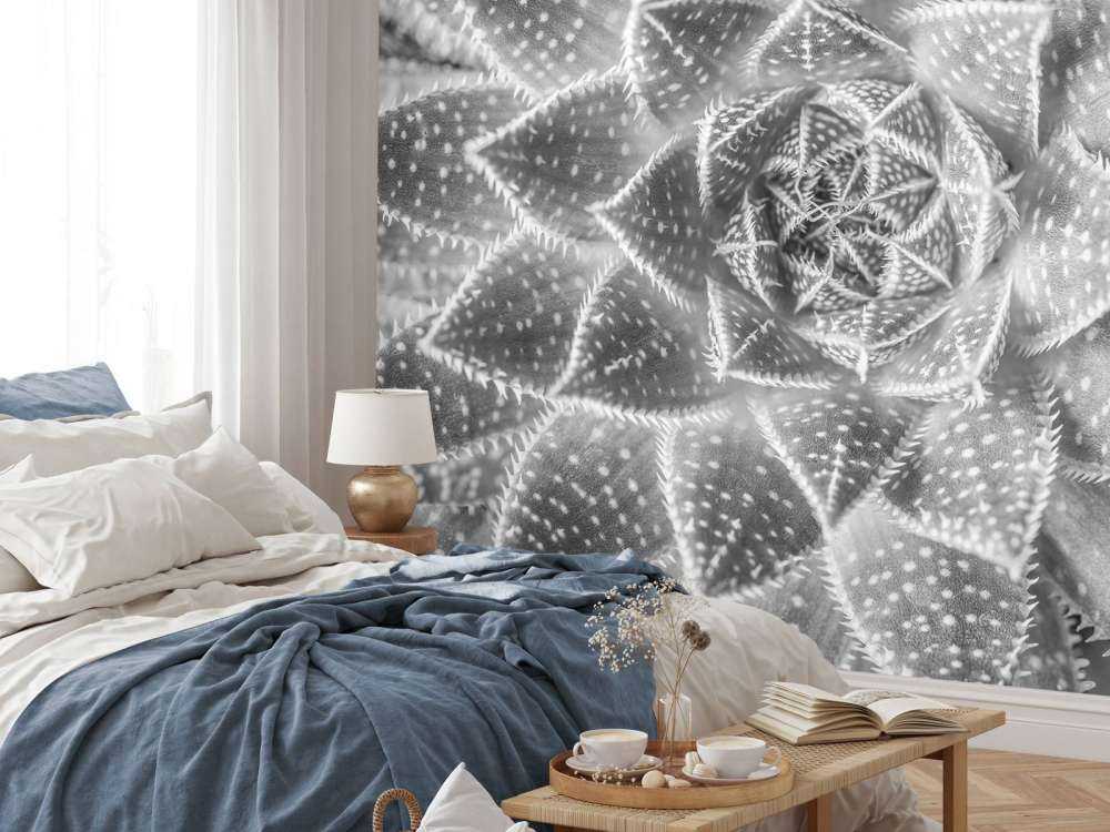 Close-up vetplant in zwart-wit