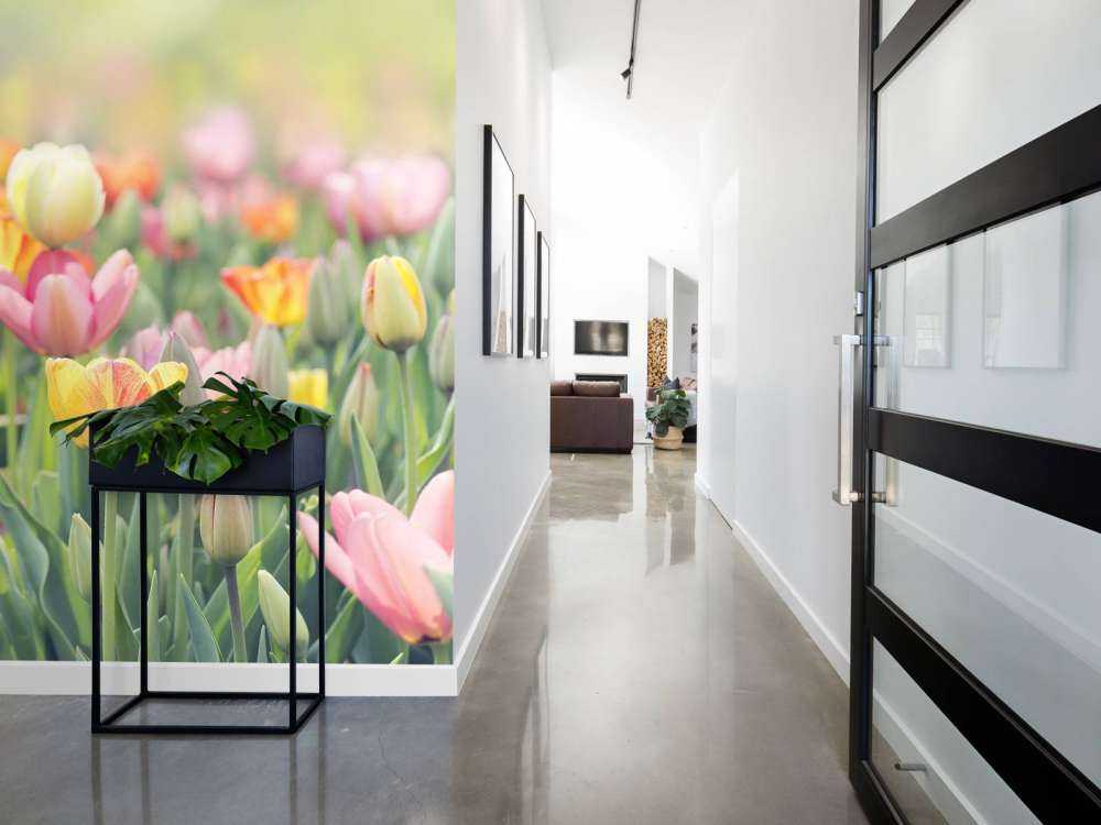 Kleurrijke tulpen