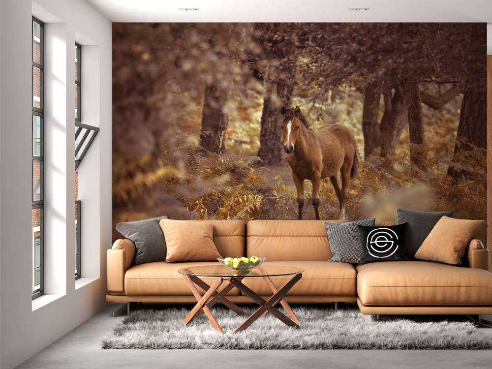 Paard in de wildernis
