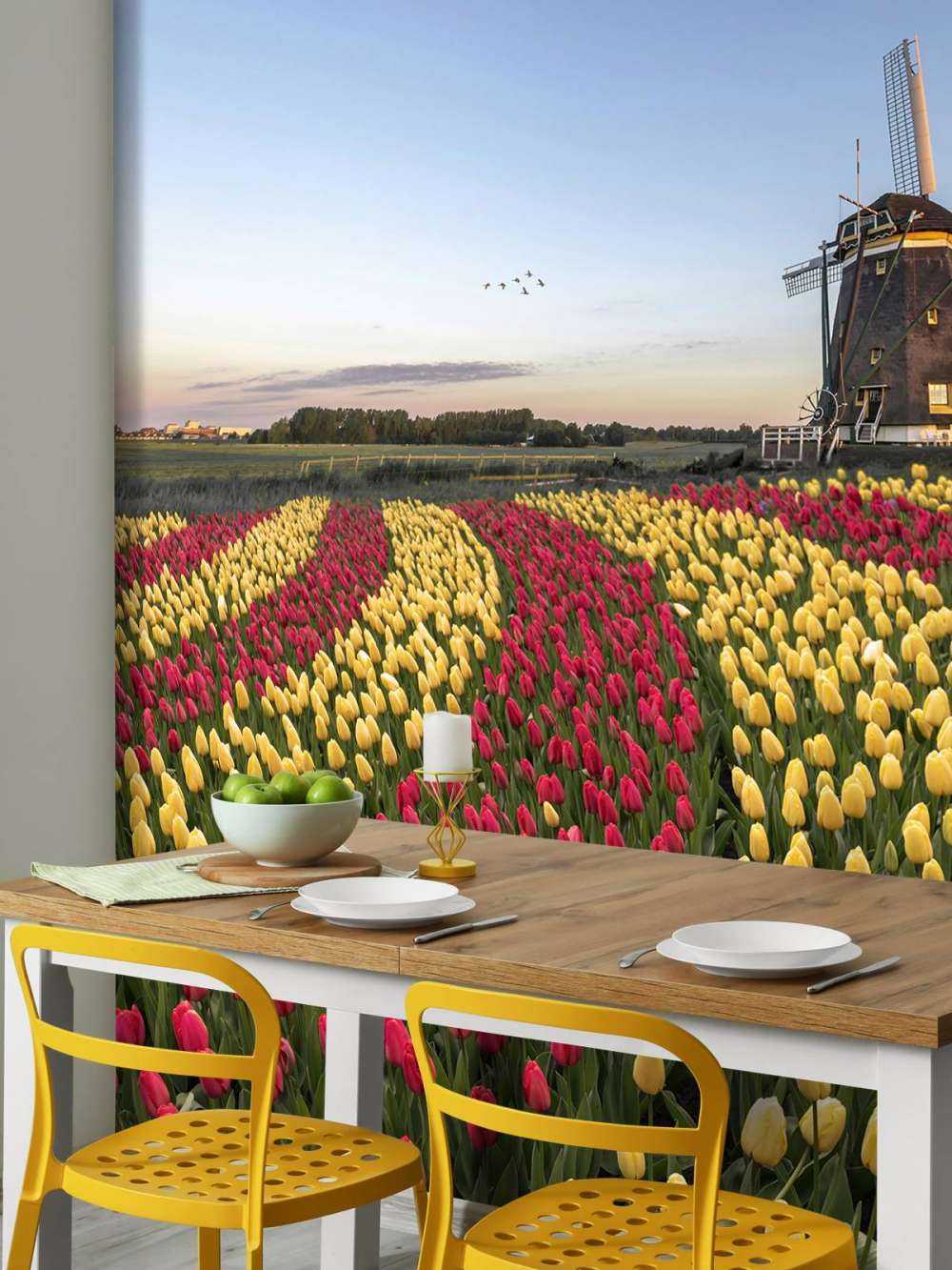 Nederlandse tulpenveld