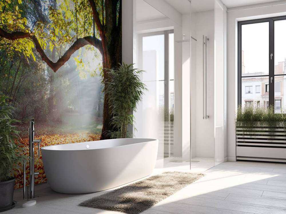 Mooie Eik in het Bos