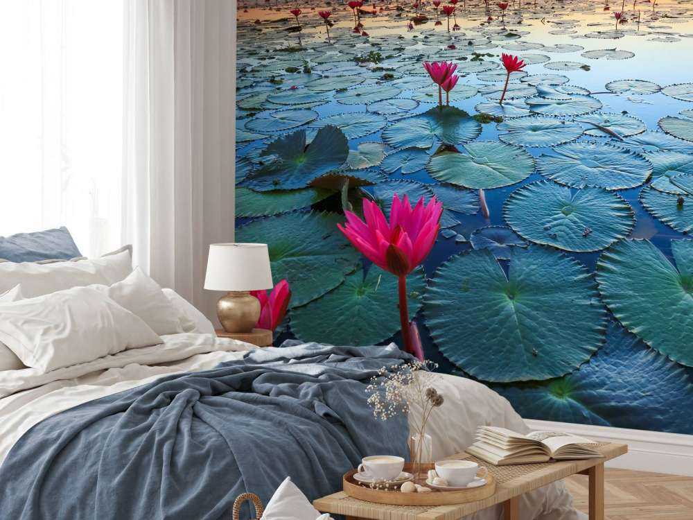 Lotusbloem bij zonsopgang