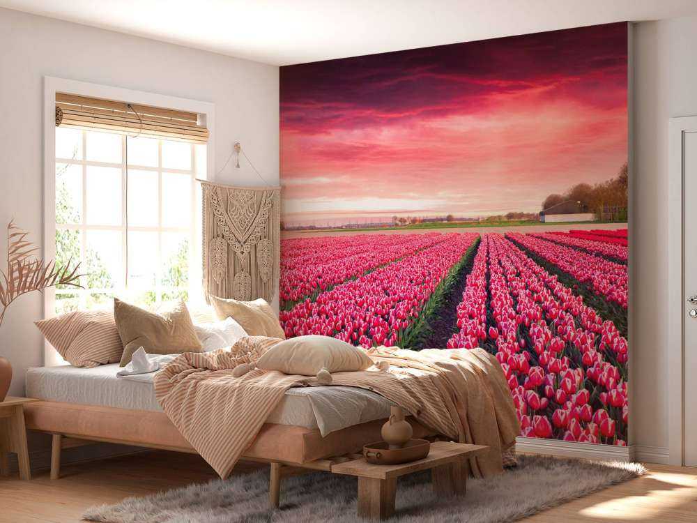 Roze tulpenveld met dynamische kleuren