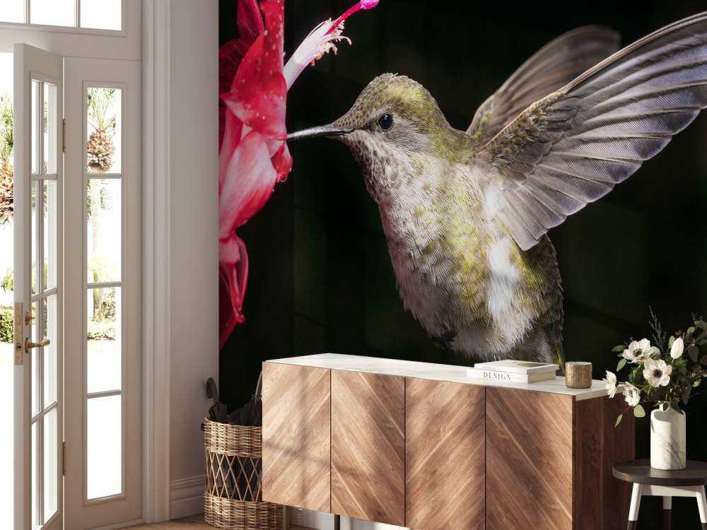 Kolibrie met rode bloem