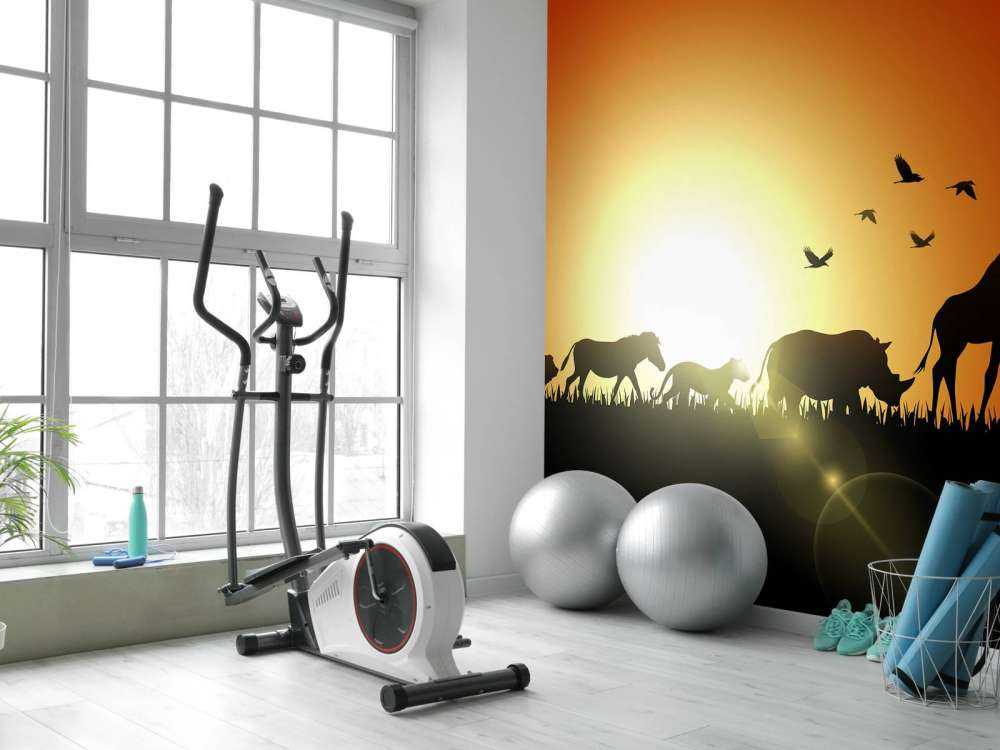 Zonsondergang in Madagaskar design