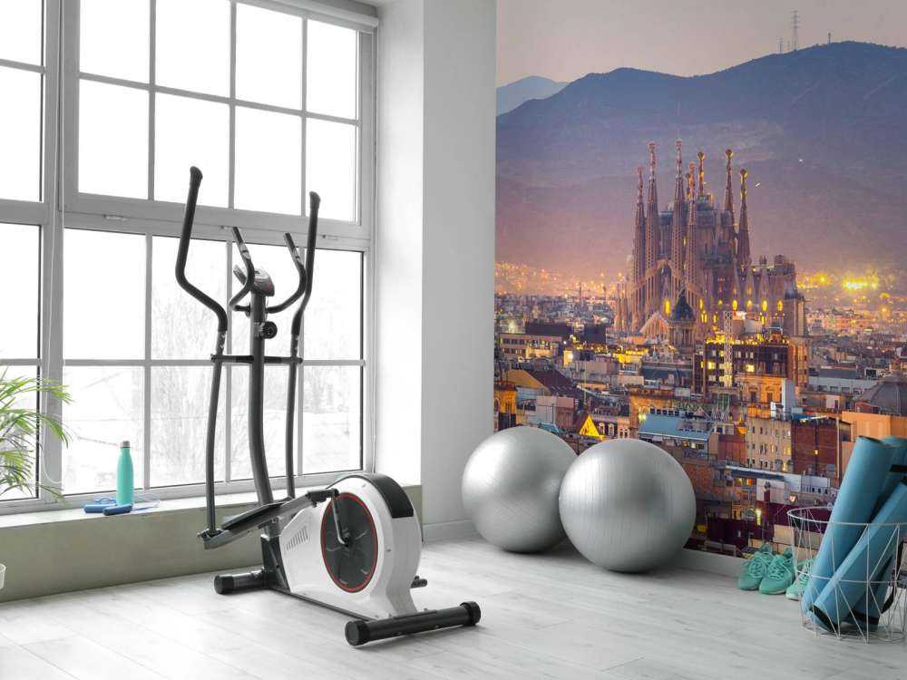 Barcelona met de Sagrada Familia in de avond