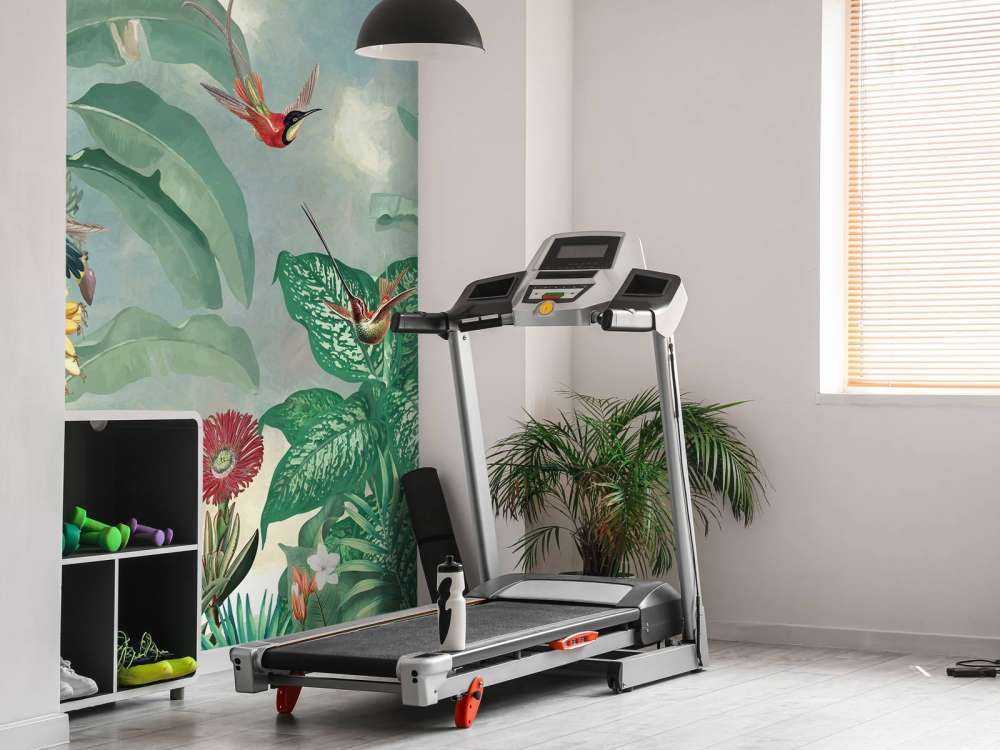 Hummingbird Paradise