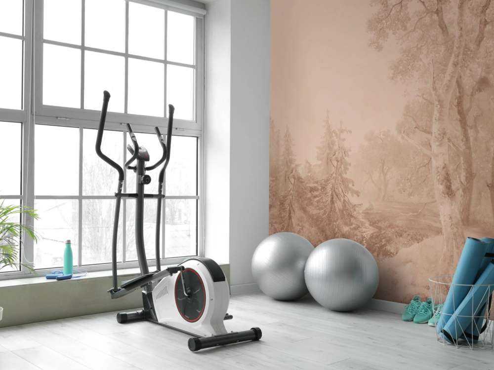 Forest Landscape Terra #2