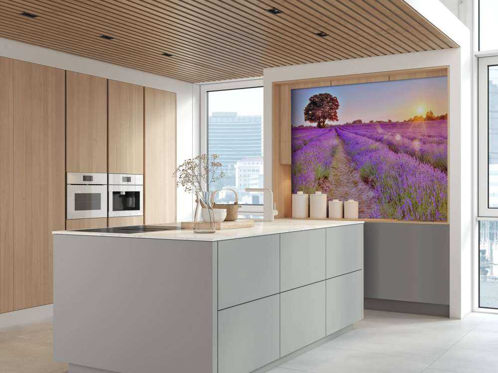 Lavender field at sunset