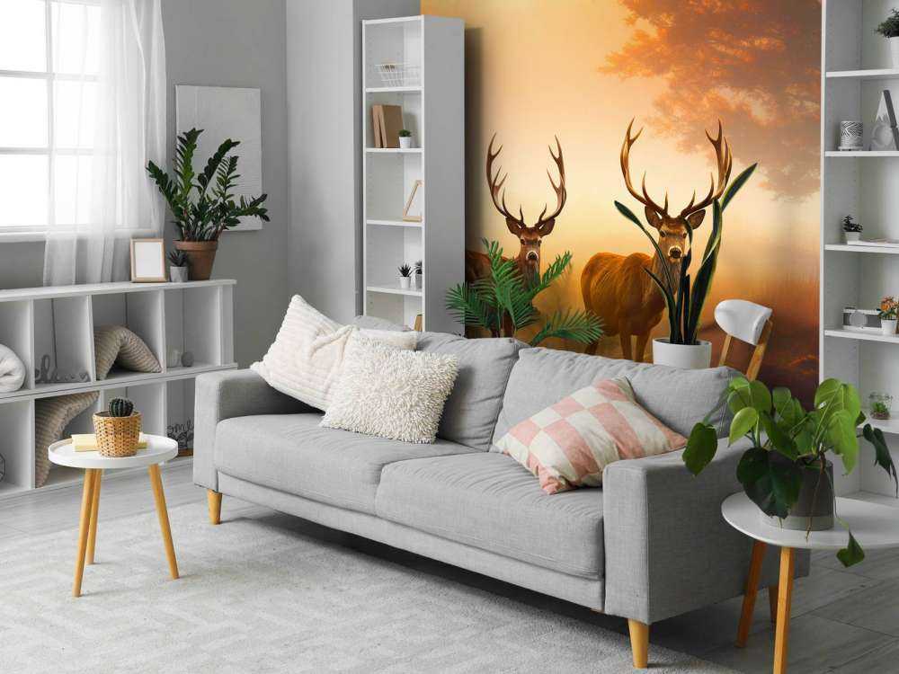 Ochtendglorie Hertenpracht