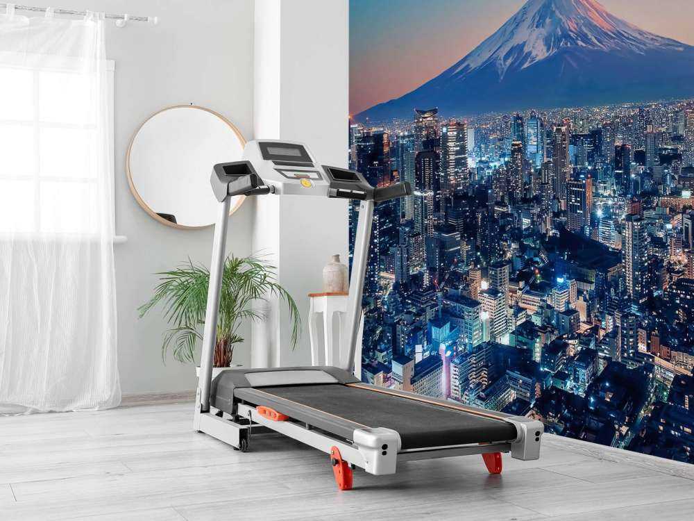 Tokyo bij zonsondergang