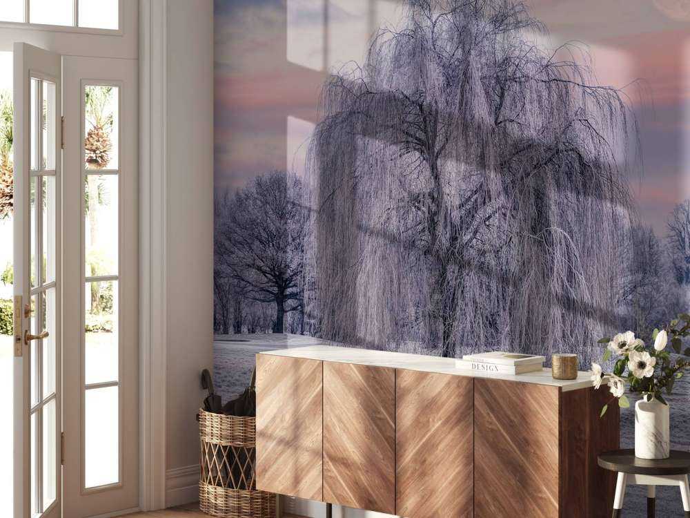 Boom bedekt met vorst