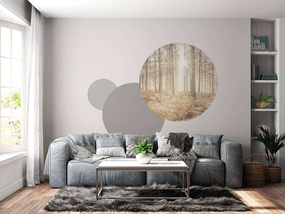 Zonnestralen in het koude bos