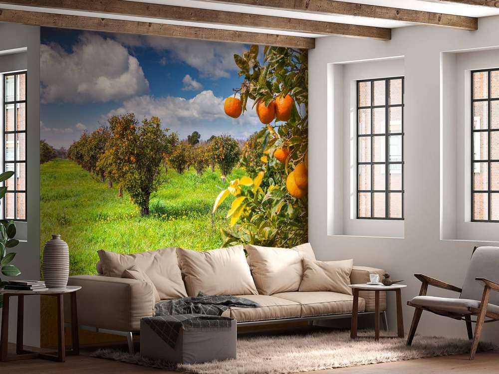 Sinaasappelbomen in Sicilië