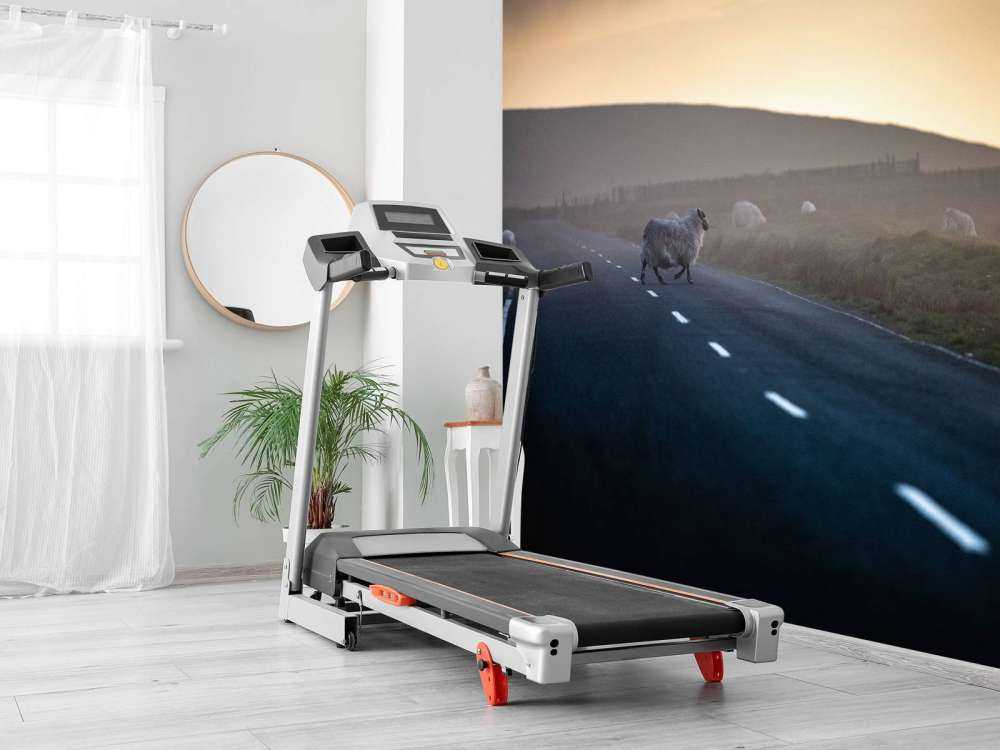 Overstekende schapen