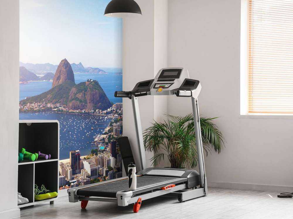 Rio de Janeiro landschap