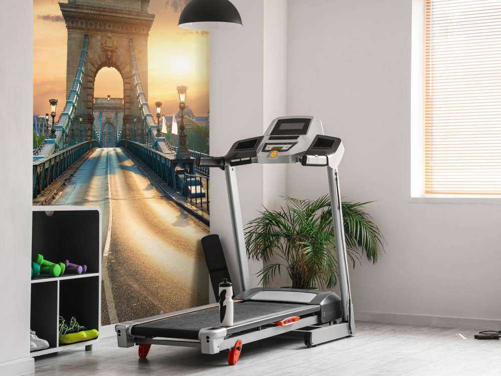 Bijzondere brug in Boedapest