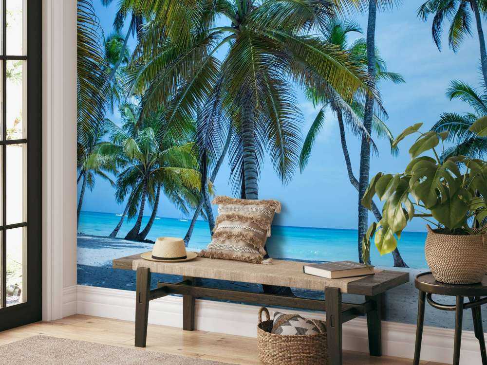 Palmbomen op een Caribisch eiland