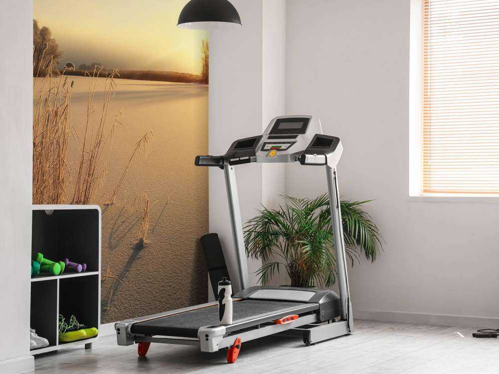 Riet op het strand bij zonsondergang