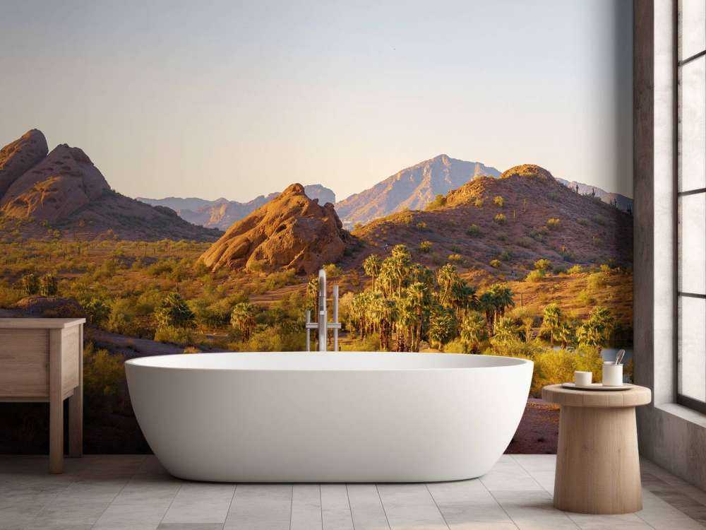 Woestijnlandschap met cactussen