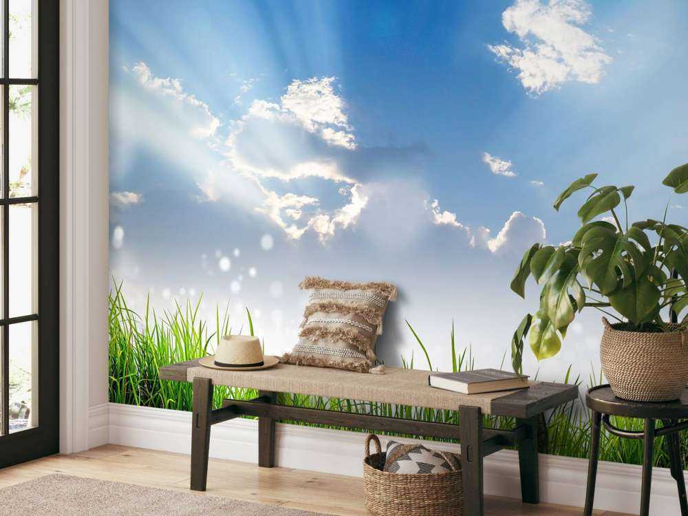 Gras onder prachtige wolken