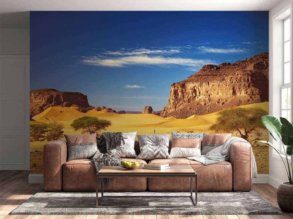 Woestijnlandschap met duinen en rotsen