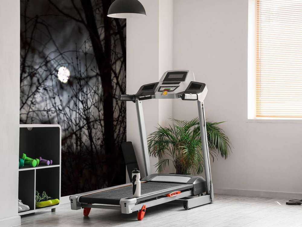 Volle maan vanuit het bos