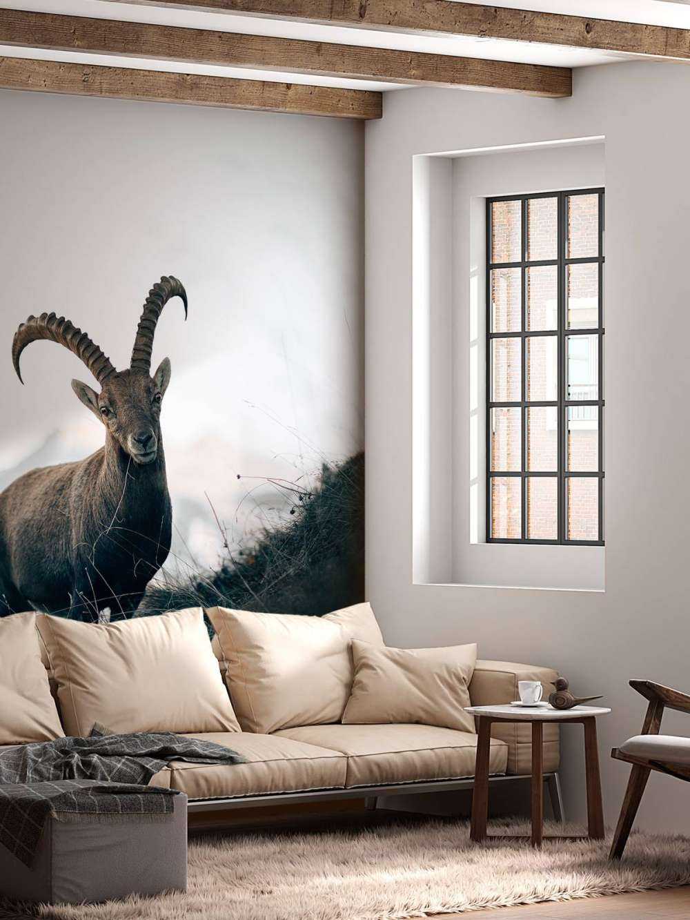 Steenbok in de bergen