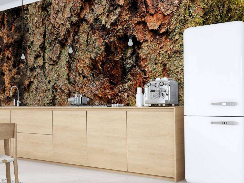 Boomschors oude boom