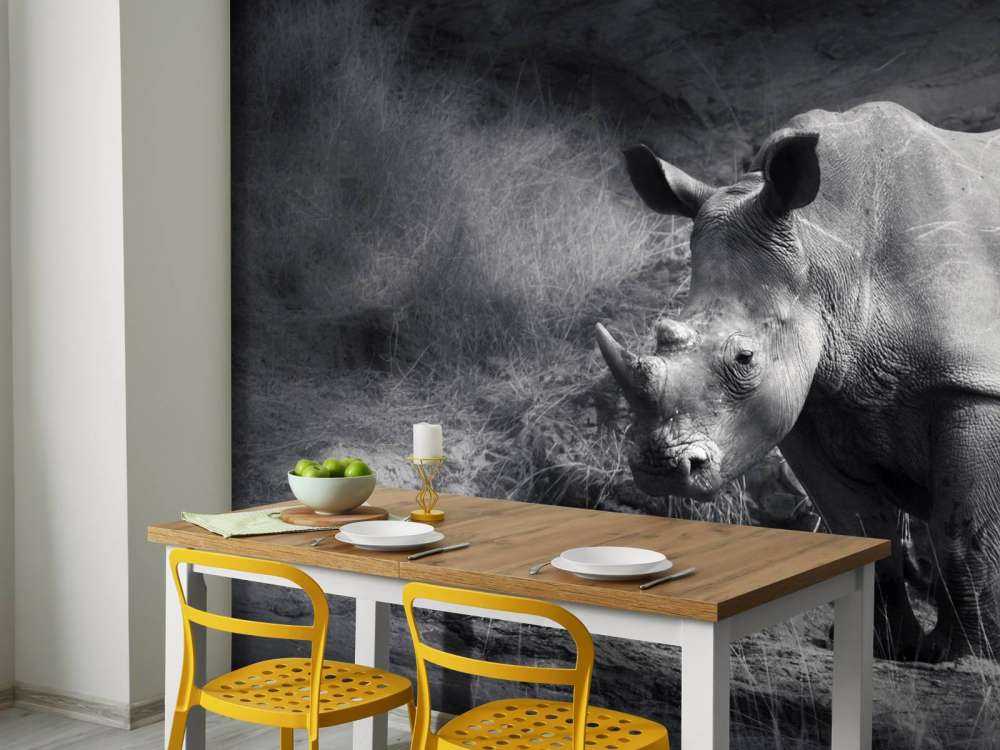 Neushoorn