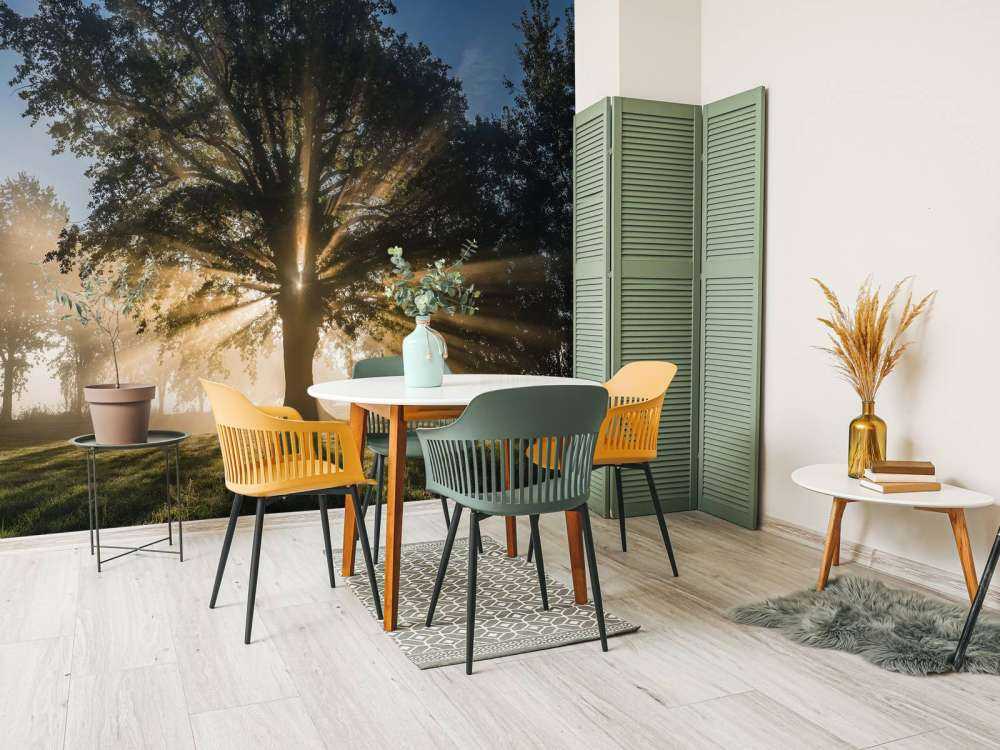 Zonnestralen door de Oude Eik