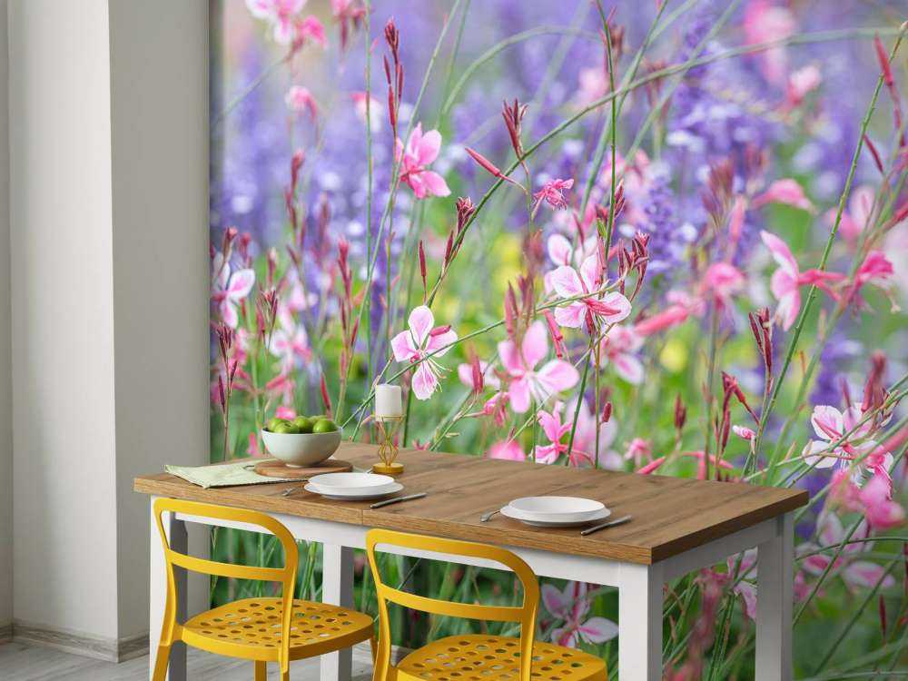 Yellow meadow flowers