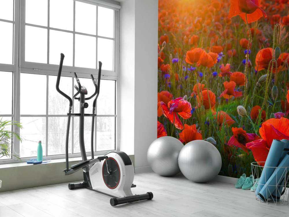 Klaprozen met opkomende zon