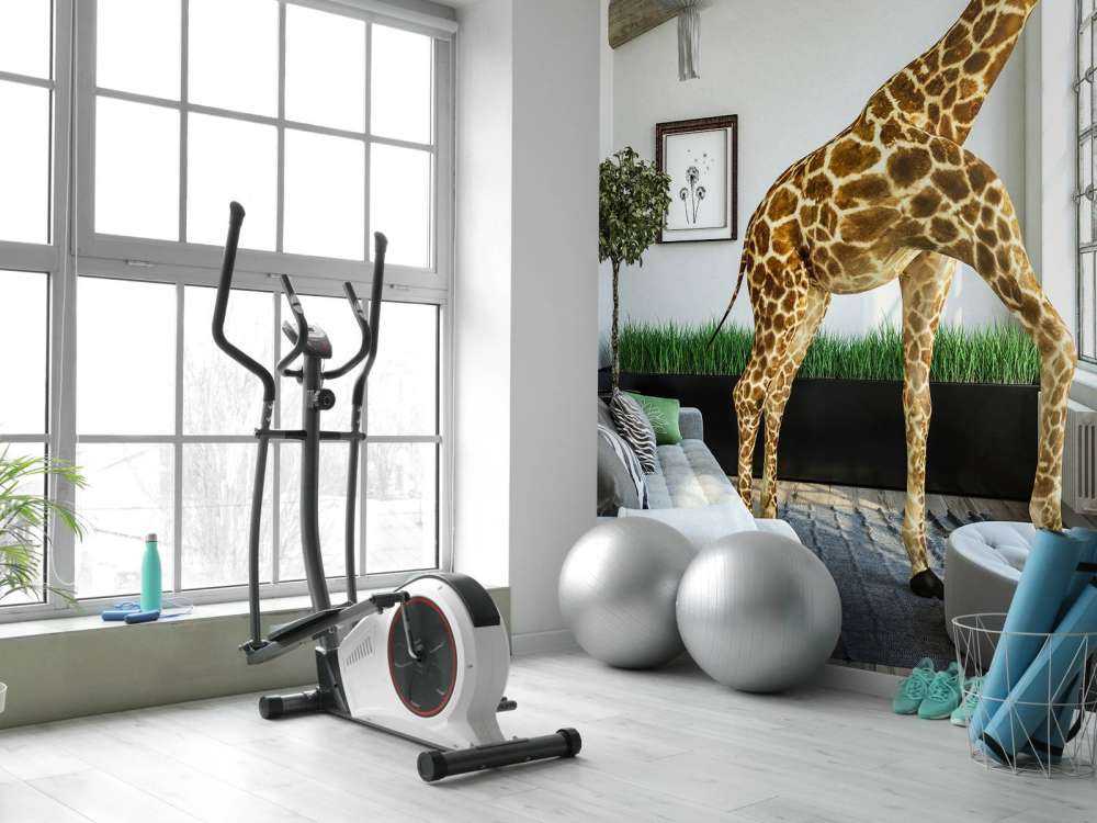 Glurende giraffe