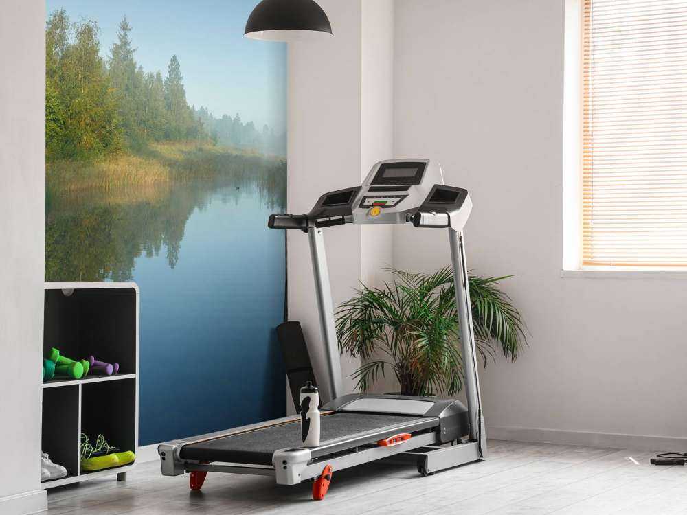 Houten steiger in het bos