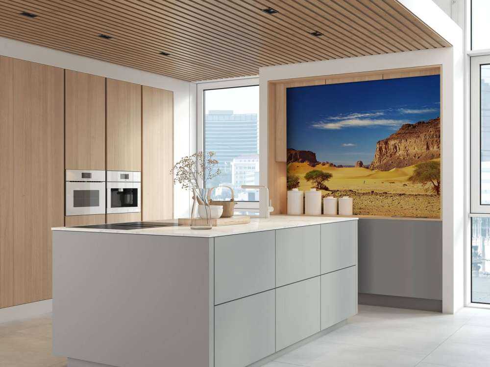 Woestijnlandschap met duinen en rotsen