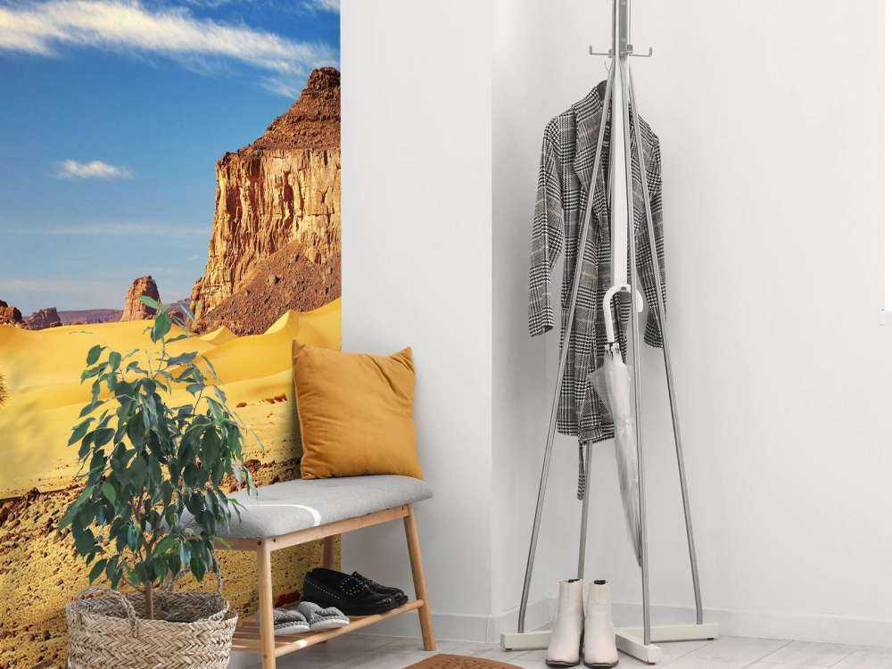 Woestijnlandschap met duinen en rotsen